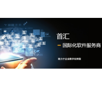 軟件信息咨詢服務 數字化時代的導航燈塔